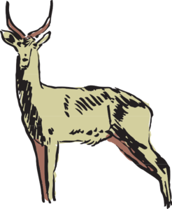 Green Antelope Drawing Clip Art